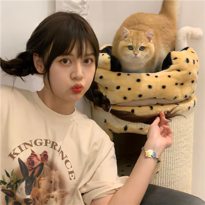 锡林郭勒盟伴游女生星晓莉的资料